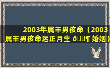 2003年属羊男孩命（2003属羊男孩命运正月生 🐶 婚姻）